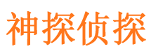 大东市调查公司